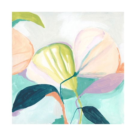 June Erica Vess 'Fan Flowers I' Canvas Art, 18x18